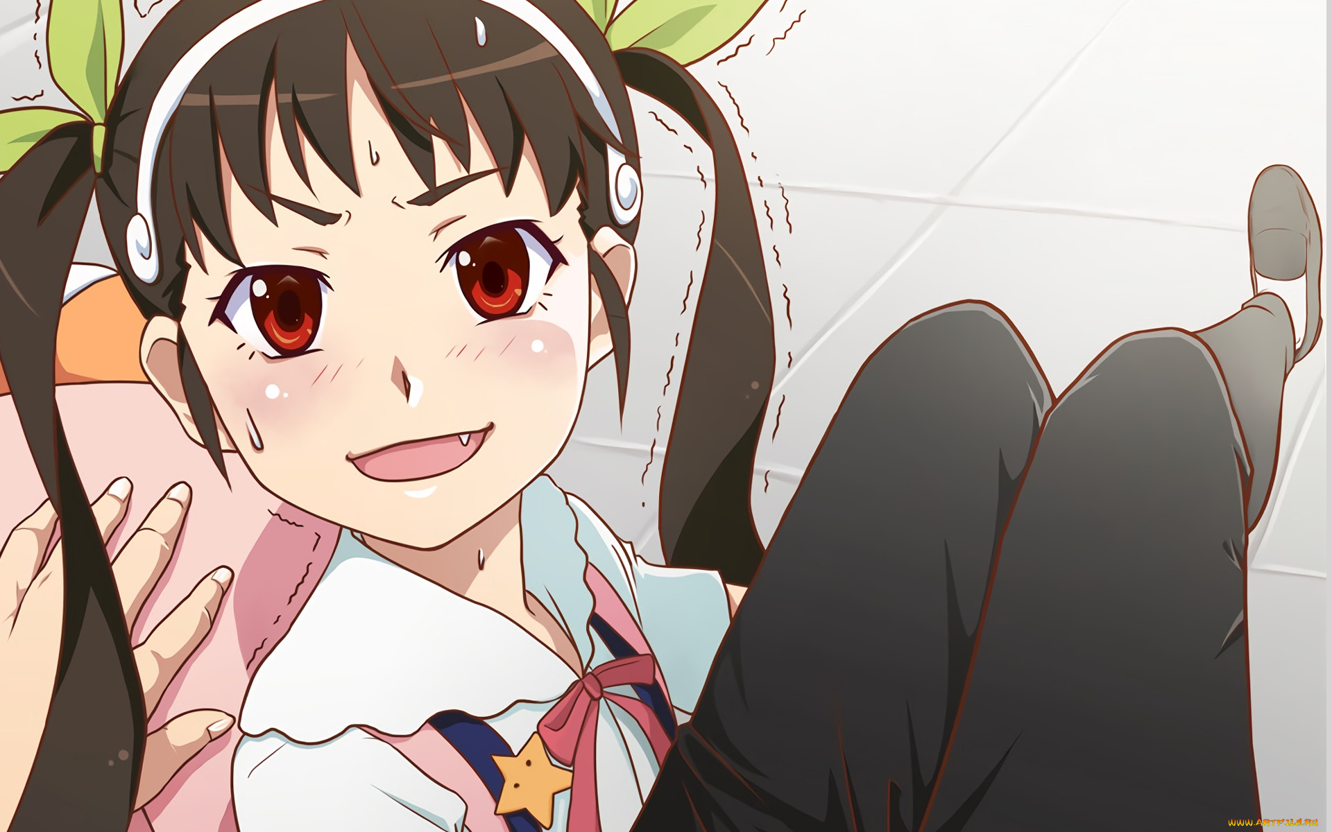 , bakemonogatari, , , 
